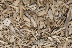 biomass boilers Isycoed