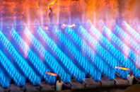 Isycoed gas fired boilers